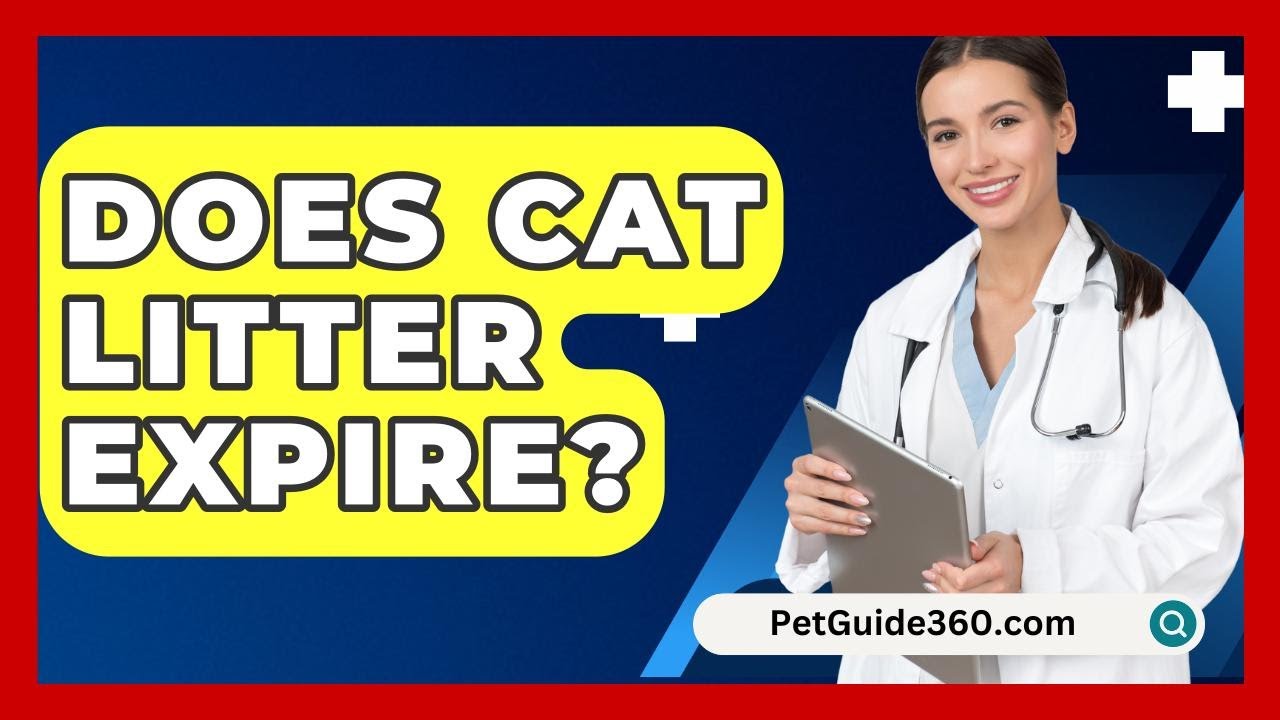 Does Cat Litter Expire? - PetGuide360.com