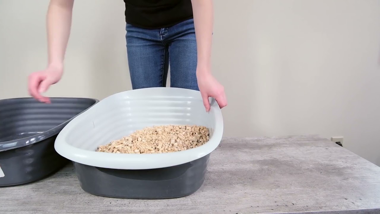 Equine Bedding Cat Litter Review (We Tried It)