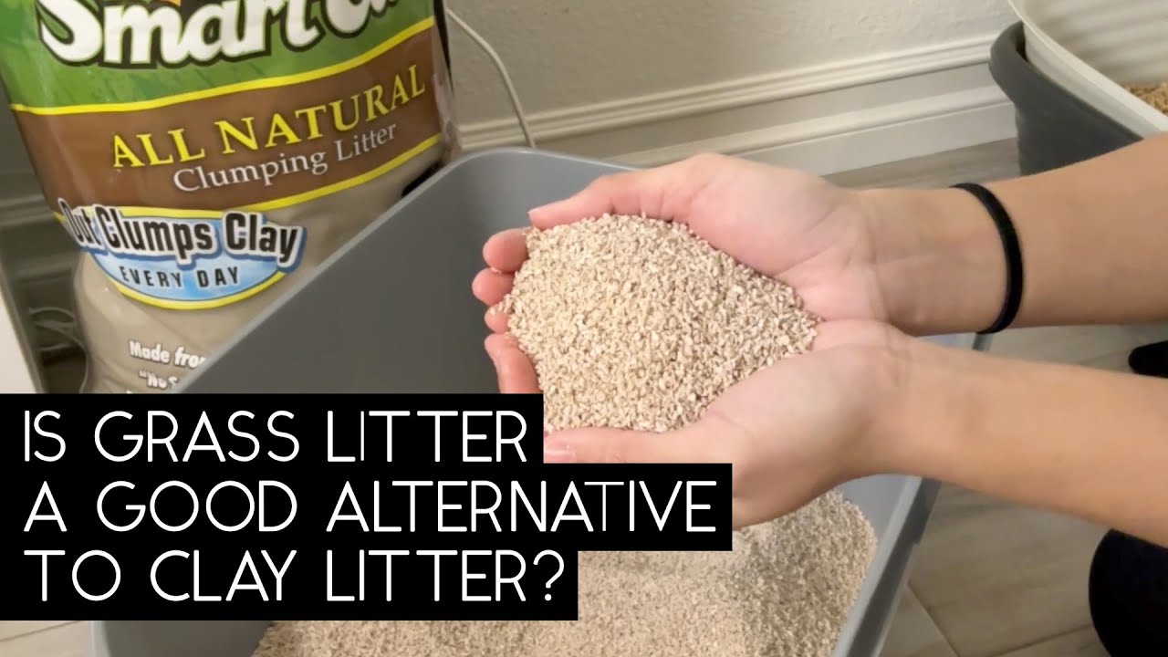 SMARTCAT GRASS LITTER REVIEW | SVEN AND ROBBIE