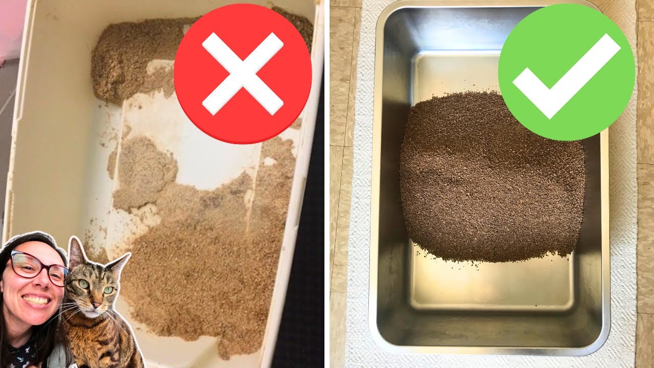 Easy litter cleaning hacks that keep the smell out