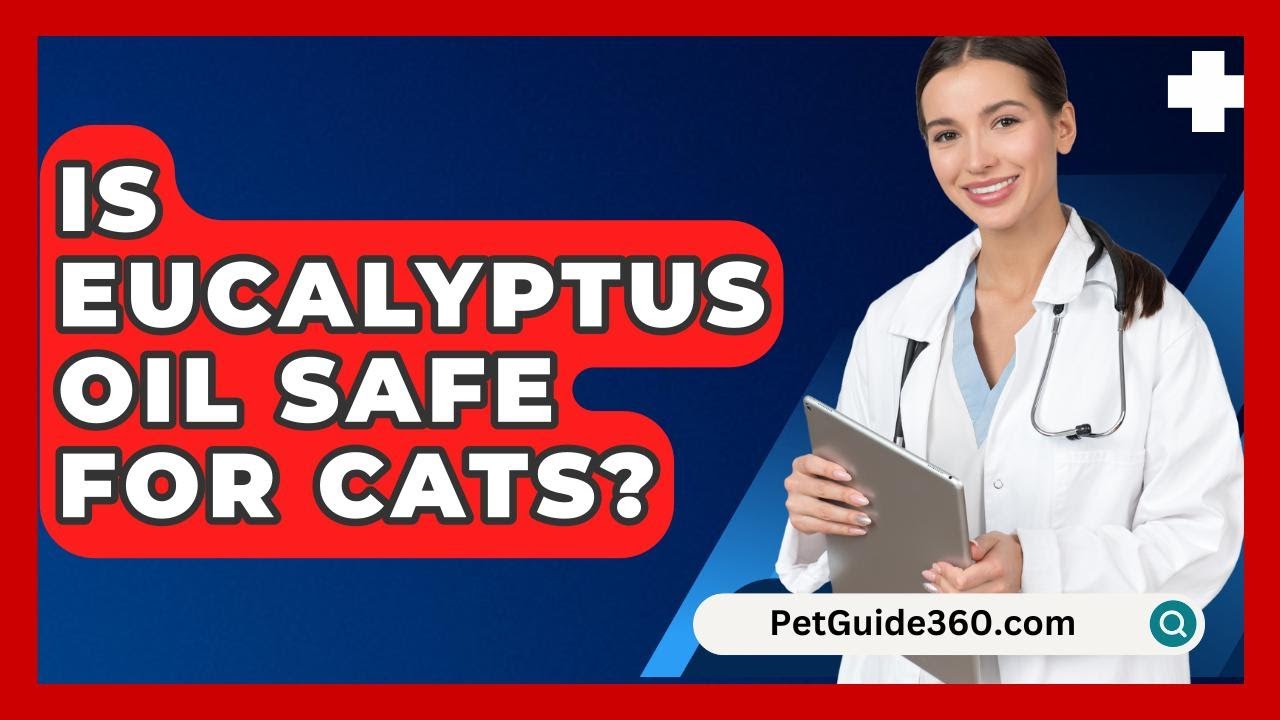 Is Eucalyptus Oil Safe For Cats? - PetGuide360.com