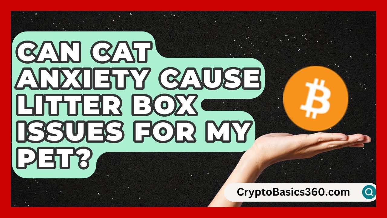 Can Cat Anxiety Cause Litter Box Issues for My Pet? | Happy Cat Handbook