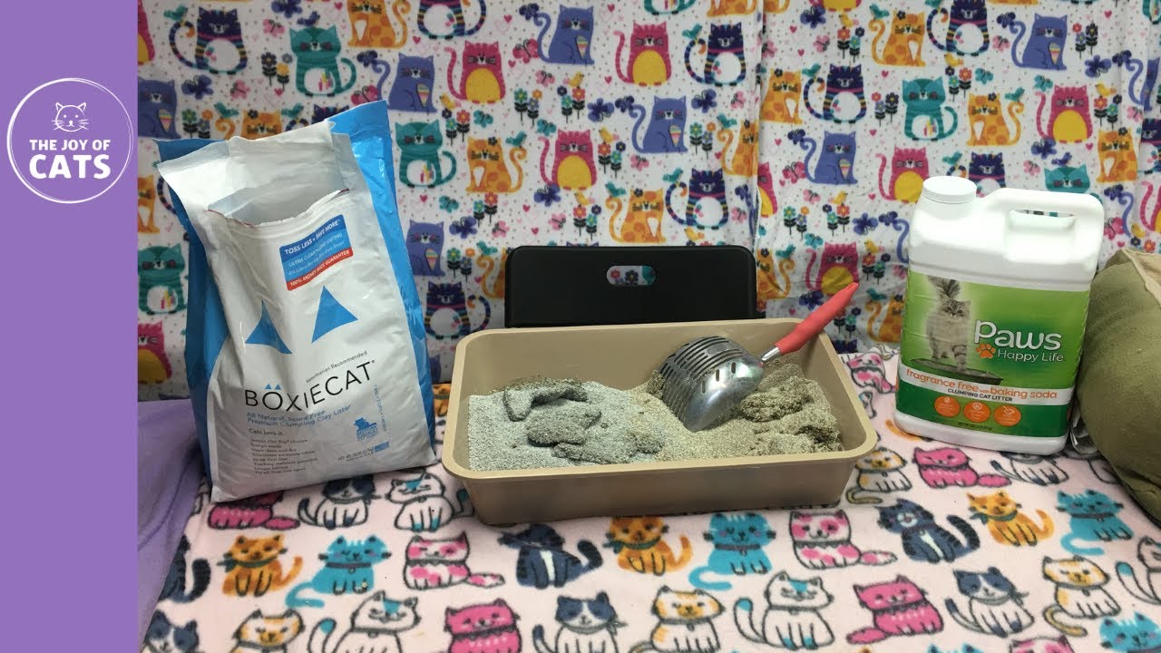 Paws Happy Life vs Boxiecat Cat Litter Review