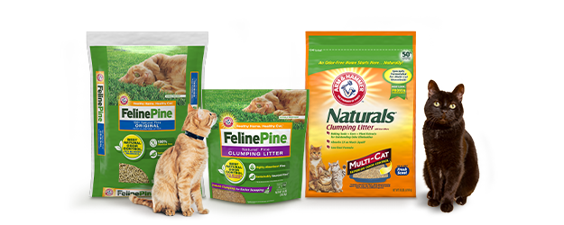 Feline Fresh Natural Pine Cat Litter A Solution for Happy Cats