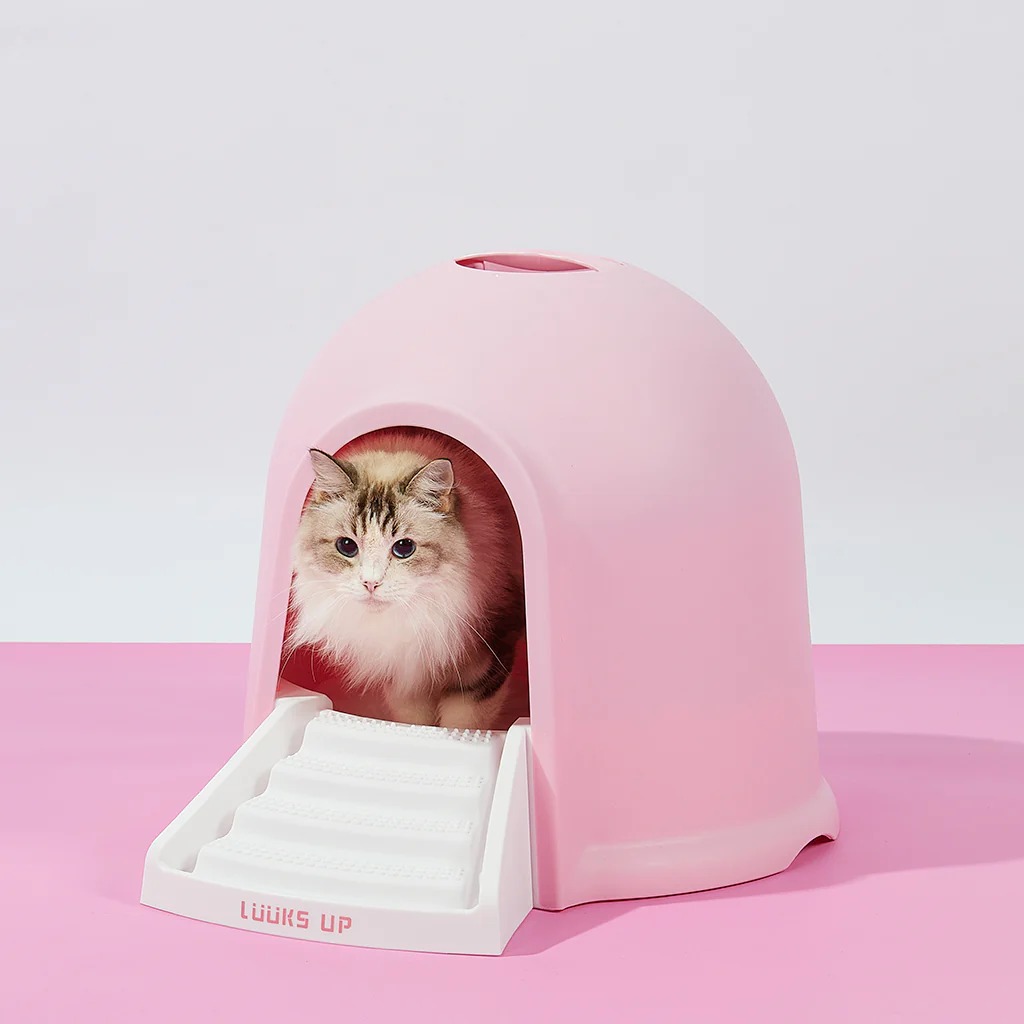 What Are The Dimensions Of The Pidan Igloo Cat Litter