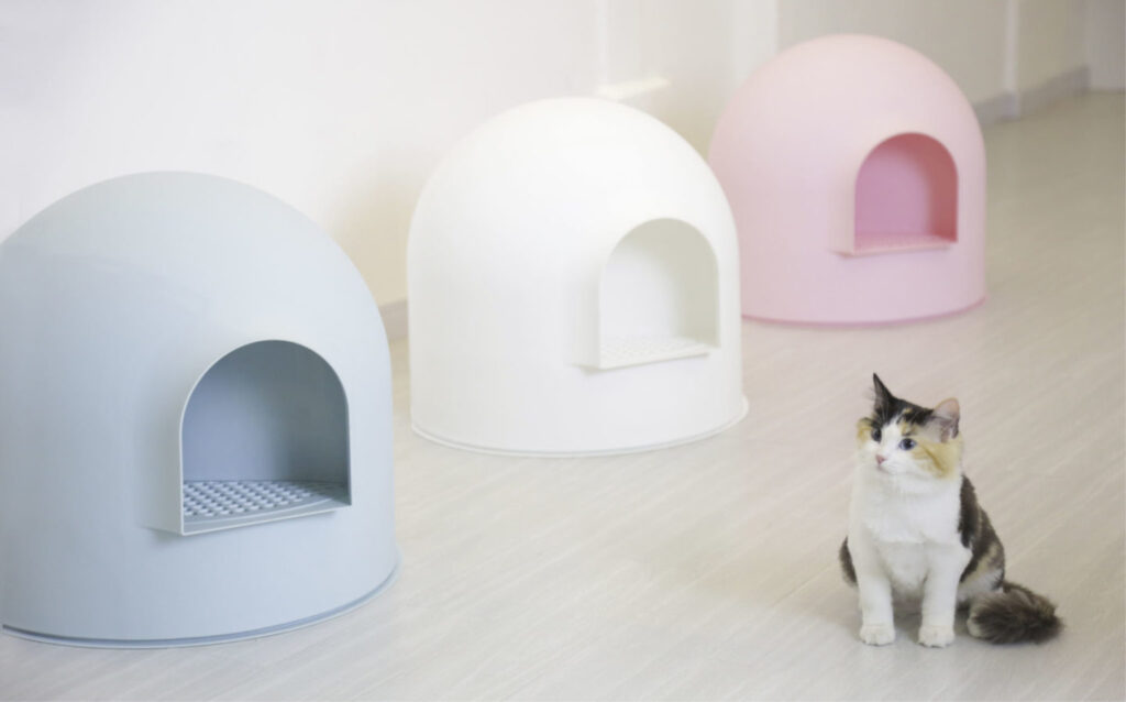 Review:The Pidan Igloo Cat Litter Box That Will Make Your Cat Feel Like It's in a luxury hotel
