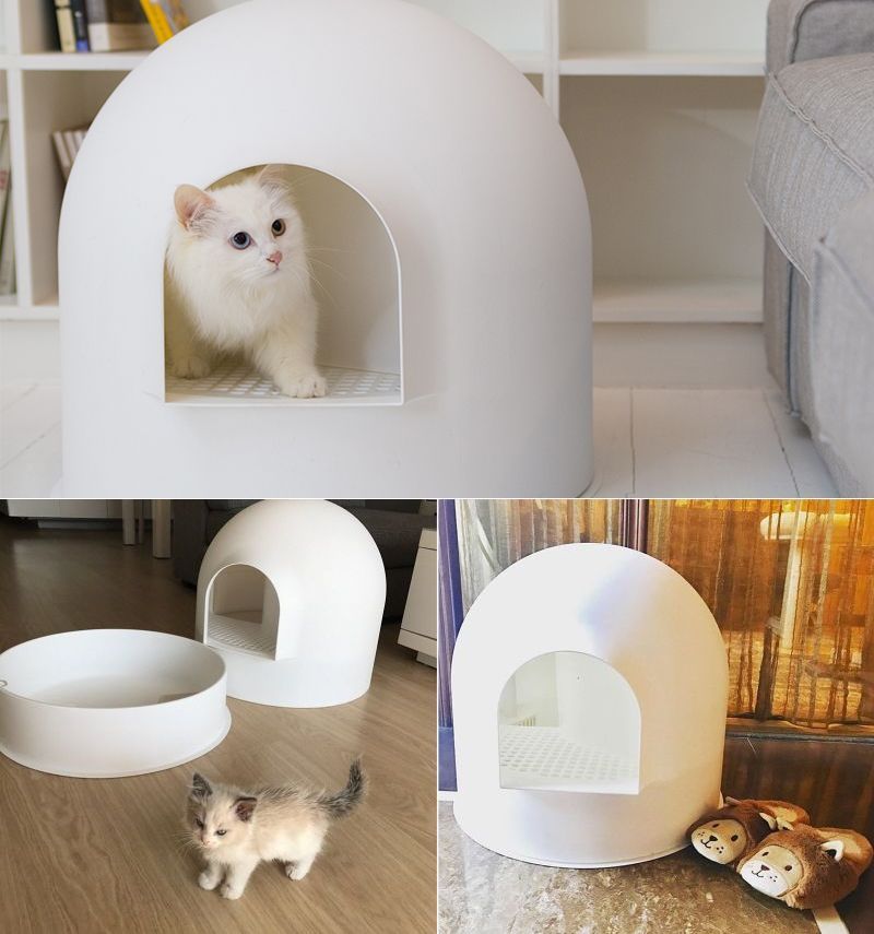The Design and Features of the Pidan Igloo Cat Litter Box
