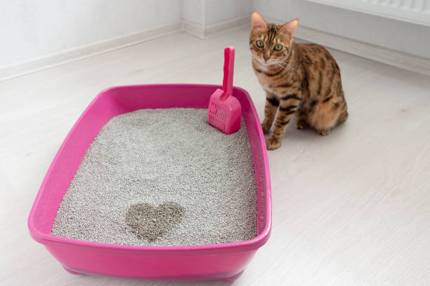 Cedarific Cat Litter