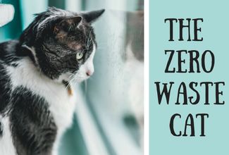 Is it Possible to Go Zero Waste with Cat Waste?