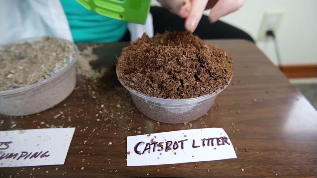 What Are Some Popular Bands Of Coconut Cat Litter