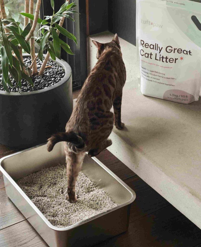  Tuft+Paw Cat Litter