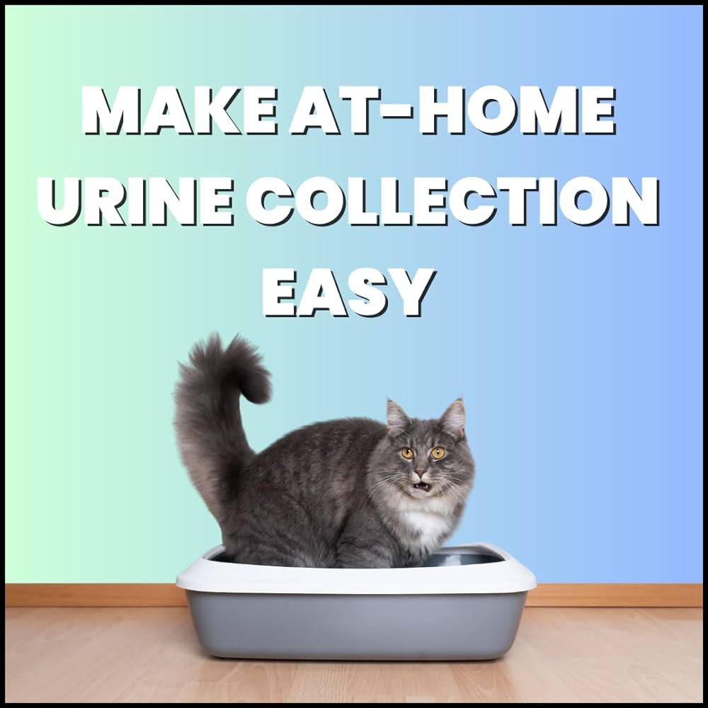 Make At Home Urine Collection Easy With Nosorb Cat Litter