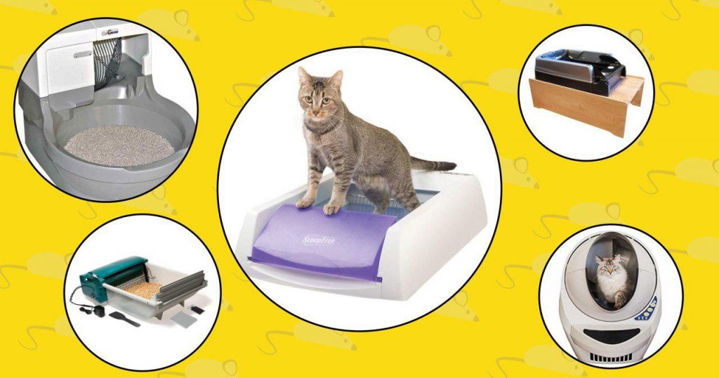  Vacuum Cat Litter:
