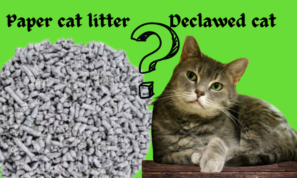 How longyou should use paper cat litter for declaw cat