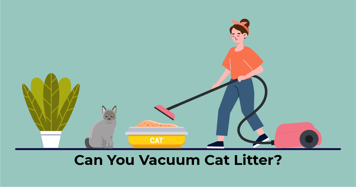 Vacuum Cat Litter
