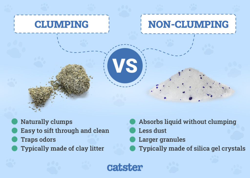 Non-clumping-vs.-Clumping-Cat-Litter.