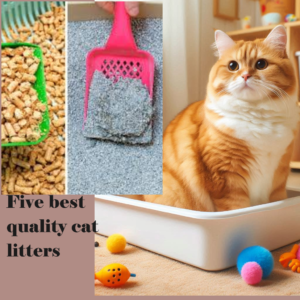 Top 5 Best Quality Cat Litter in 2024