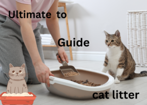 Ultimate-Guide-to-cat-litter