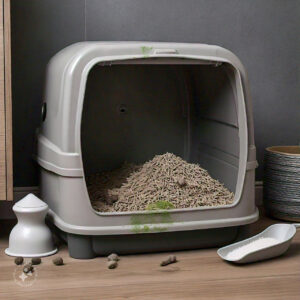 mold in cat litter box
