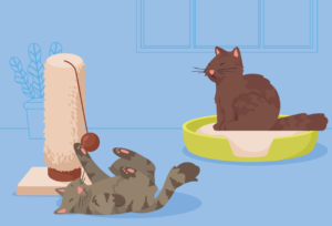 Dumping Cat