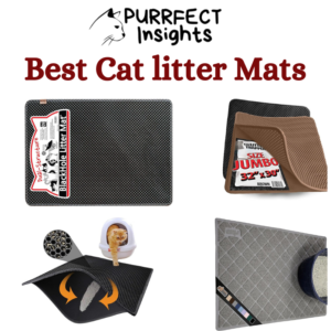 Best Cat litter Mats