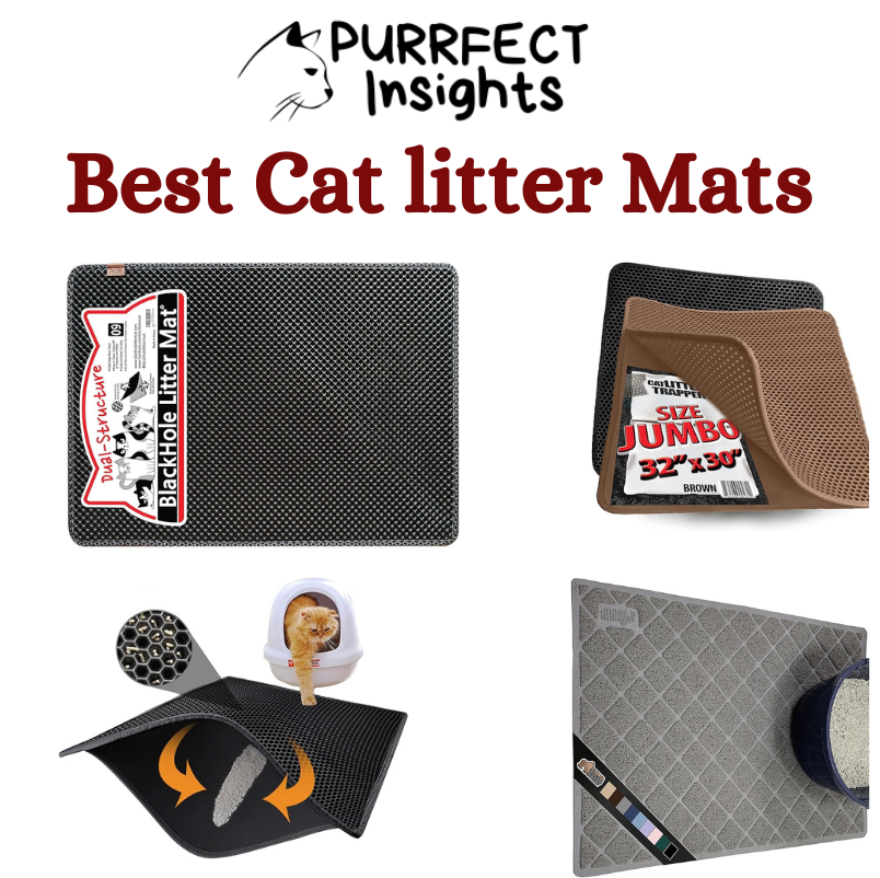 Best Cat litter Mats