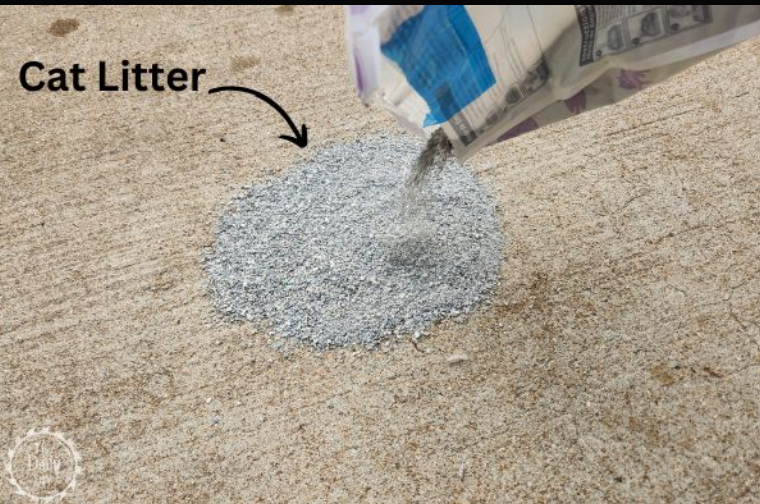 using cat litter as oil obsorvent