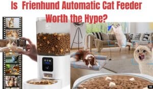 Is Frienhund Automatic Cat Feeder Worth the Hype?