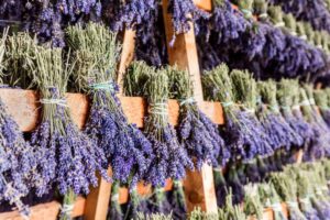 Dried Lavender and Cats