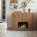 8 Best Cat Litter Enclosures image