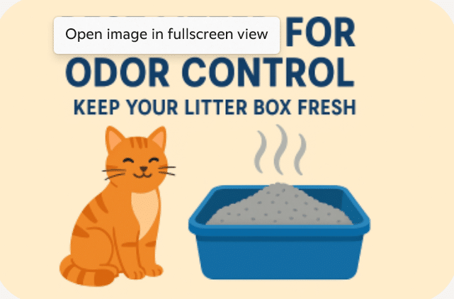 best litter for odor control