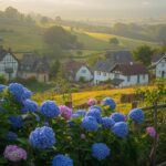 are hydrangeas poisonous to cats