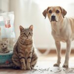 Can cat litter make dogs sickCan cat litter make dogs sick