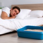 Is it safe to sleep with a litter box in the bedroom IMAGE