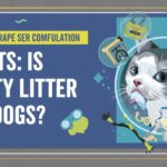 7 Vet-Approved Facts Is Kitty Litter Toxic to Dogs?