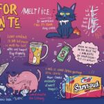 Cat litter sprinkled on icy driveway to improve traction during winter.