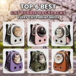 Top 6 Best Cat Bubble Backpacks Every Cat Parent Needs image