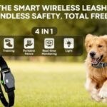 Physical Fence vs. GPS Fence