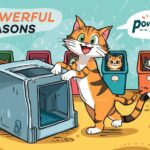 metal cat litter box compared to plastic litter box